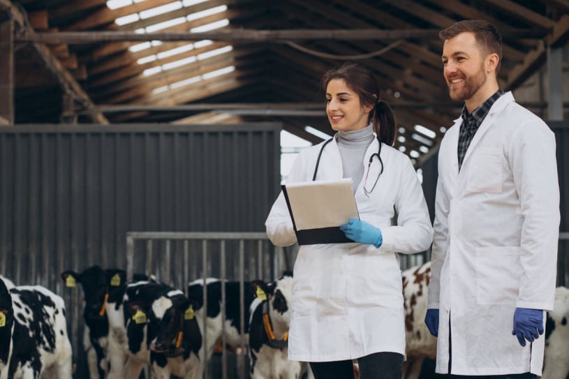 Veterinarios en granja